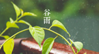 【二十四節(jié)氣灸】谷雨節(jié)氣脾土濕，艾灸降濕濁，脾旺不受邪！